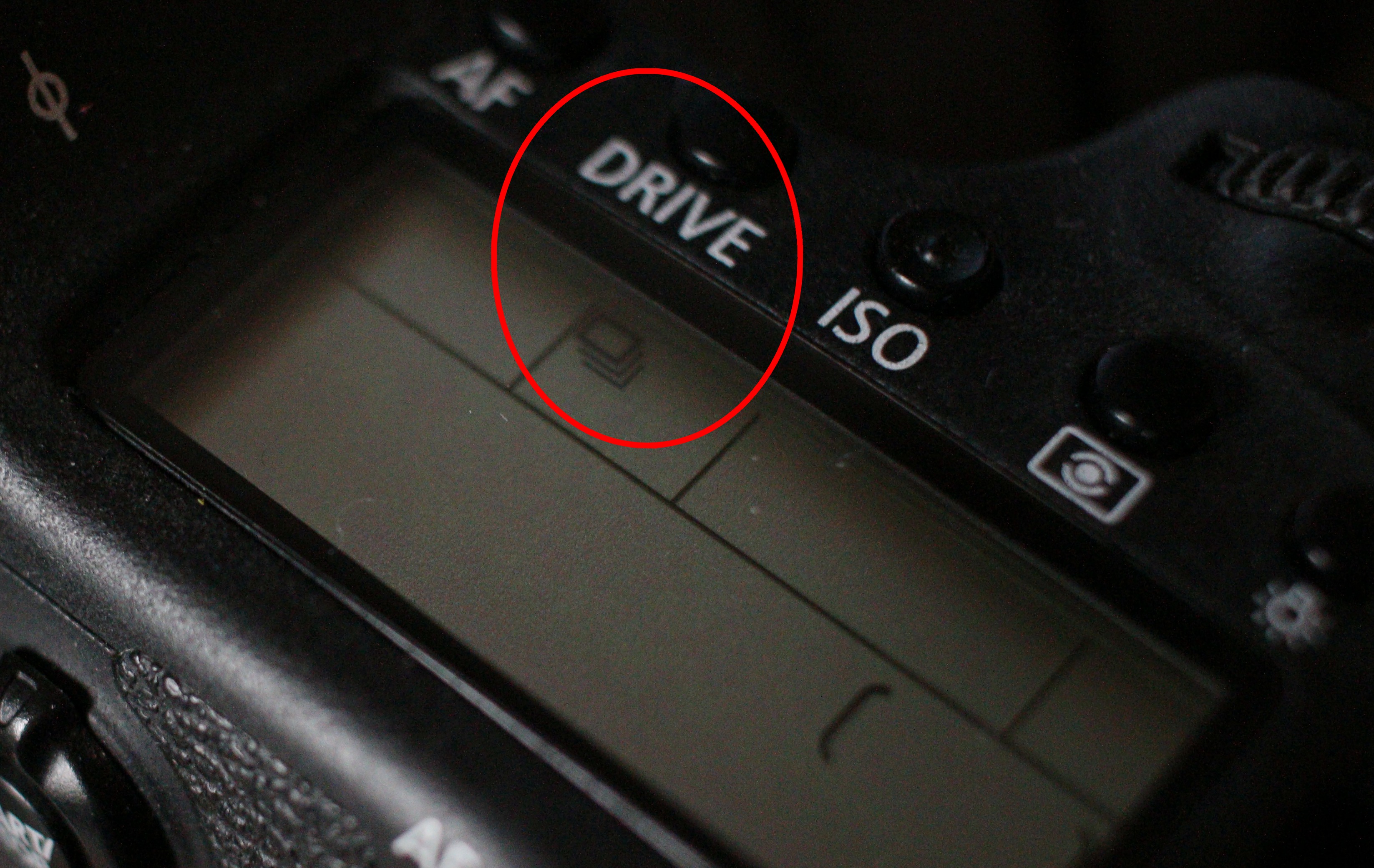 相机怎么抓拍运动中的人,单反相机运动拍摄技巧