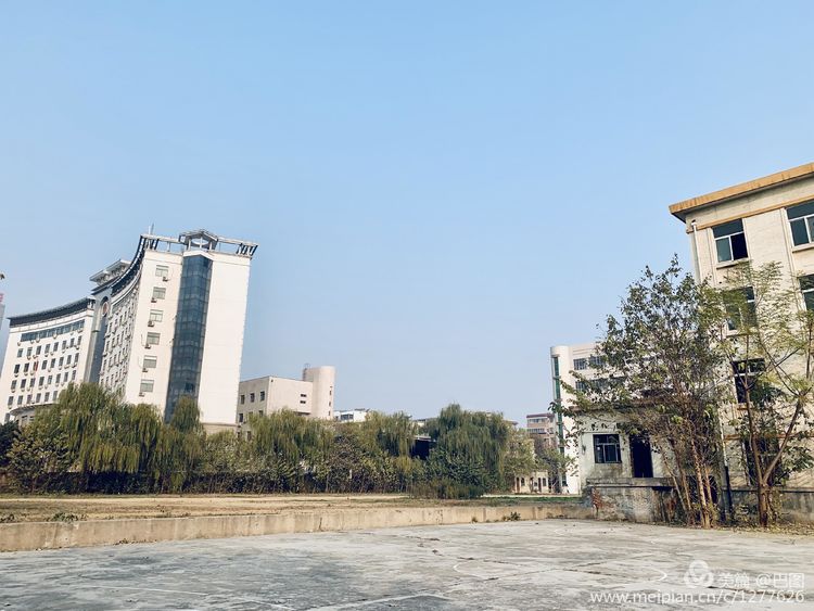 手机拍洛阳,涧西牡丹广场老照片