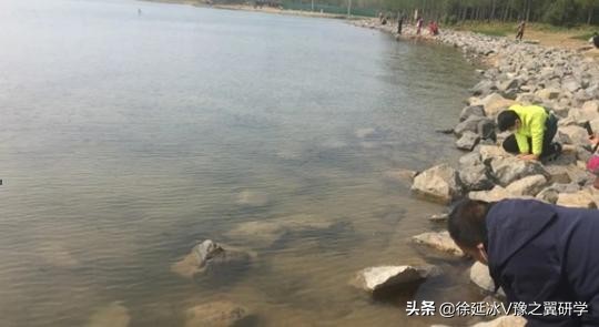 不出郑州旅游攻略,郑州五一游玩公园推荐