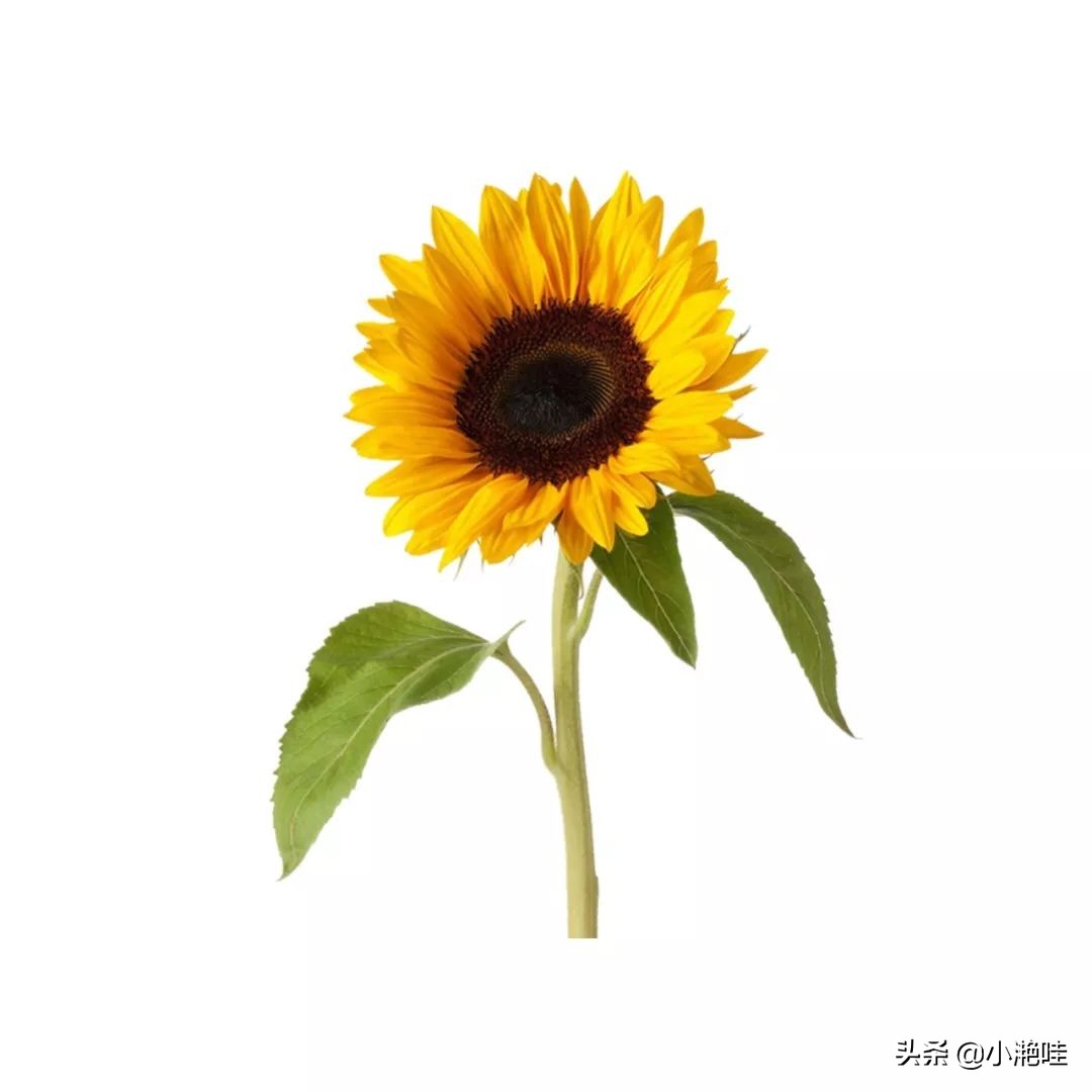 这一次丨1%为他，99%为你