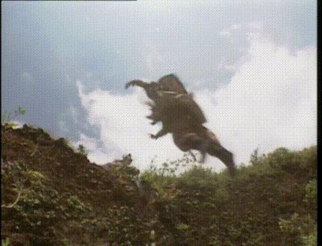 济公见到梁小冰,济公梁小冰想起自己