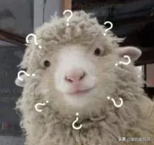 旅行赚钱教程,旅行省钱的最佳方法