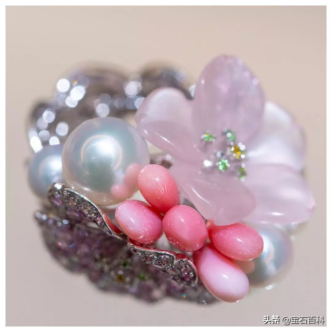 澳白珍珠和南洋金珍珠,澳白南洋白珍珠