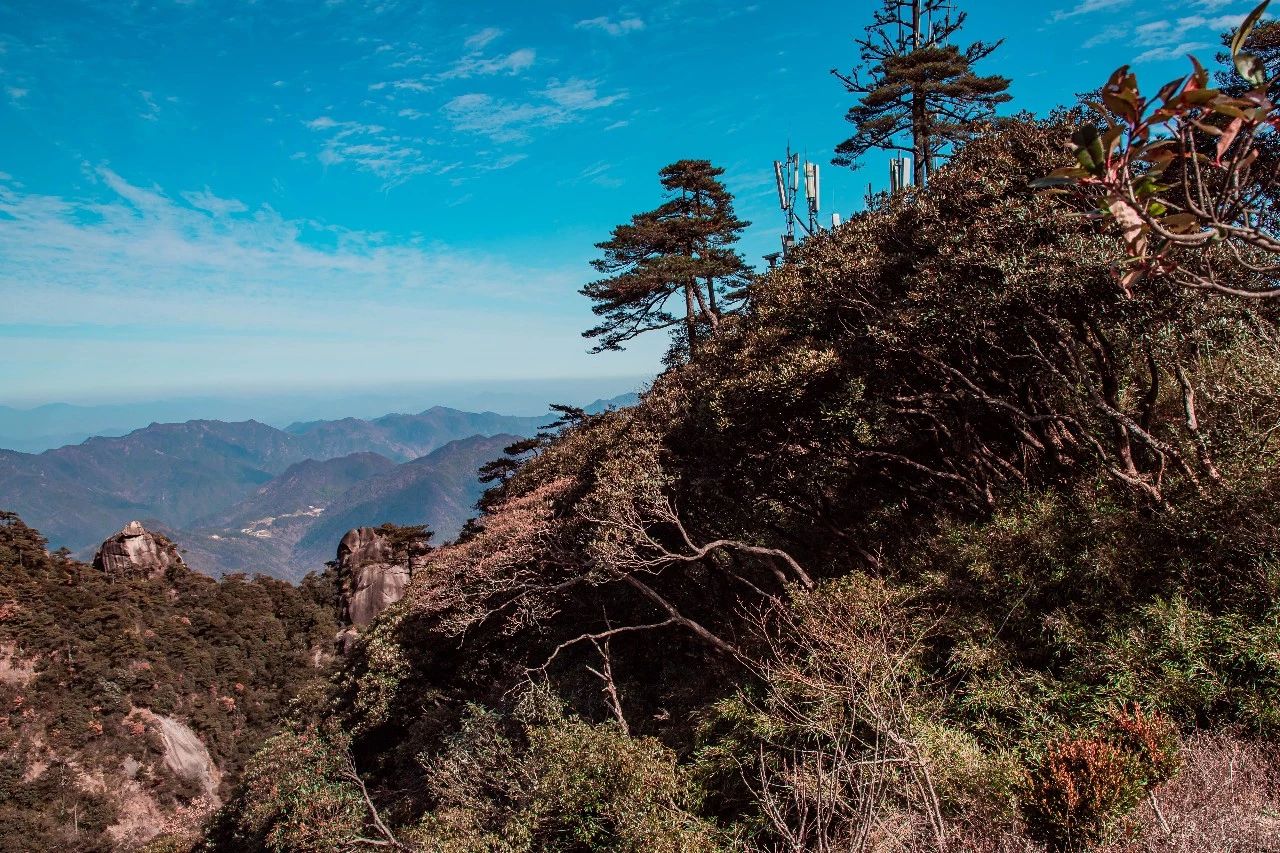 老夫老妻感情不好怎么过下去,多少人婚姻毁在老夫老妻