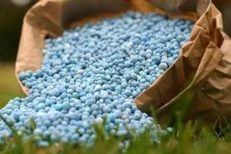 海法植力王水溶肥真假辨别,水溶肥真假辨别图片对比