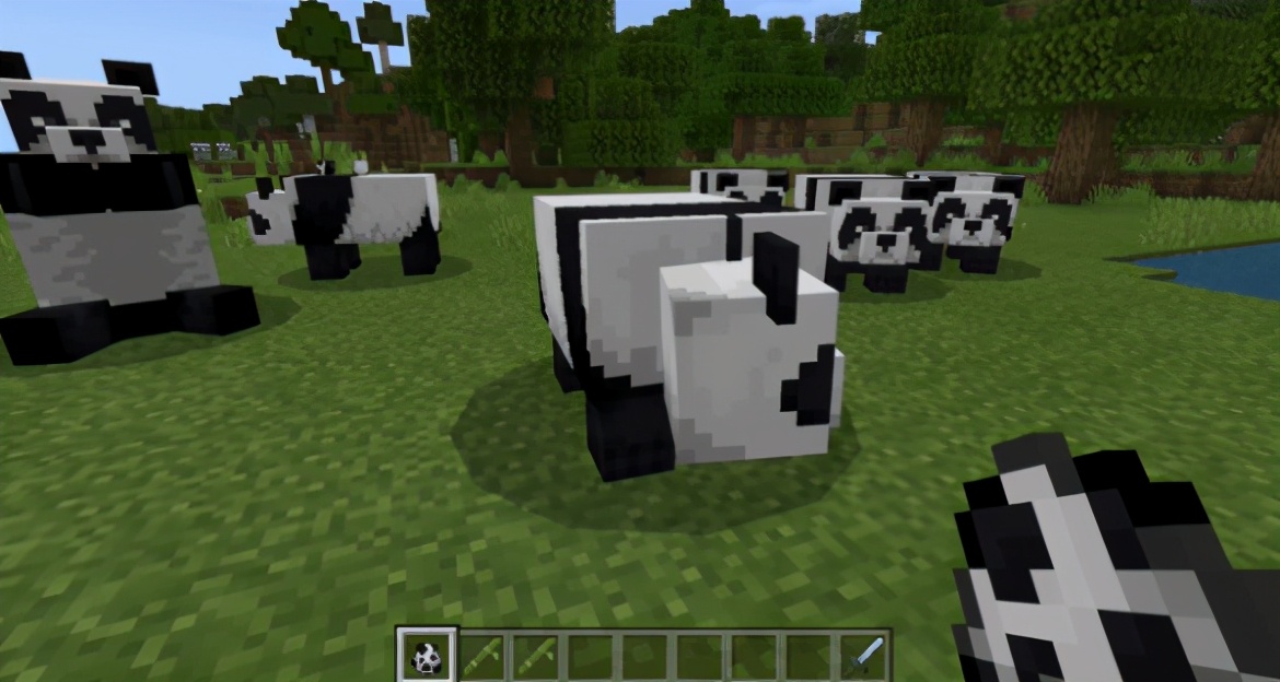 我的世界熊猫吃什么会繁殖,我的世界熊猫怎么繁育出特殊熊猫