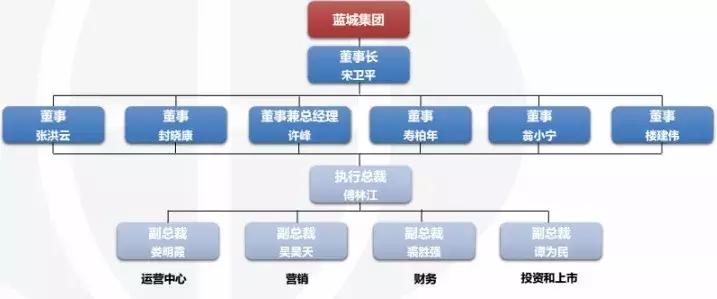 蓝城文旅集团董事长,蓝城文旅集团