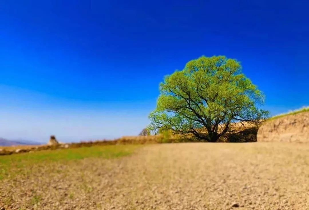 中国县城现状原文,中国县城现状深入调查