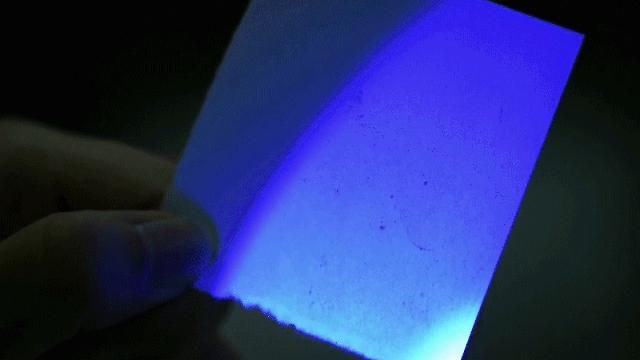 中科院大连化物所,中科院大连化物所历史成就