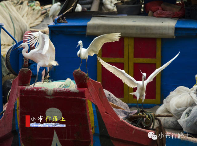 厦门沙坡尾是老城区吗,厦门沙坡尾属于哪个区