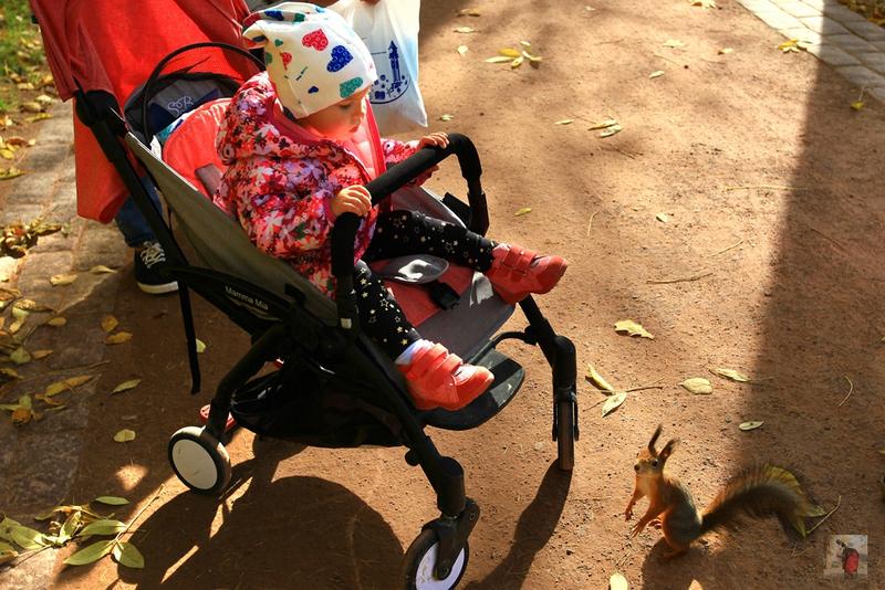 奢华宏伟,绝美的风景俄罗斯