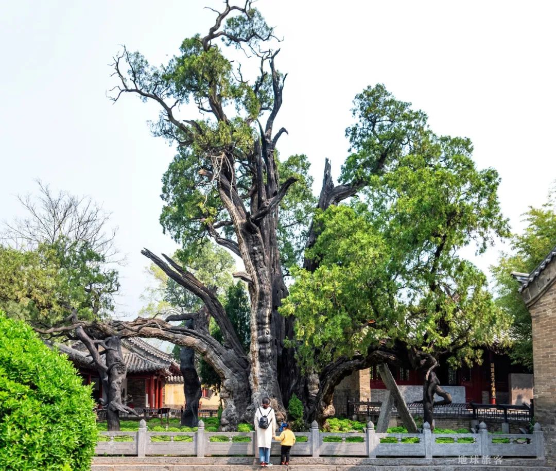中岳嵩山跟嵩山少林有什么区别吗,被低估的嵩山不止有少林