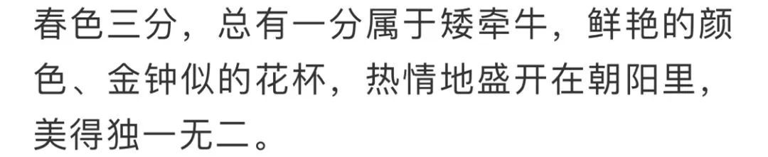 看到花的时候,不知是什么花?那就收下这份百花图谱