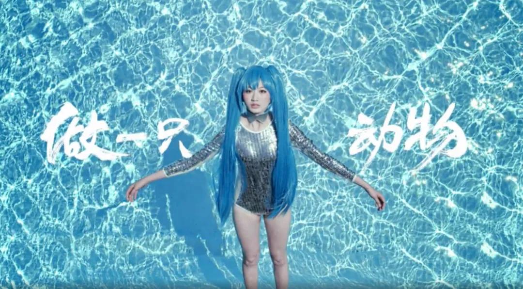 北京名校毕业，他拒绝联合国offer，自己创业开公司，成为网红博主！