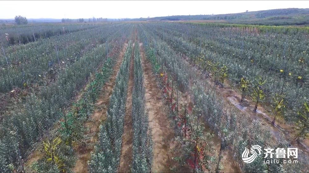 农贸市场食品安全公示栏,2020年食品安全示范城市名单