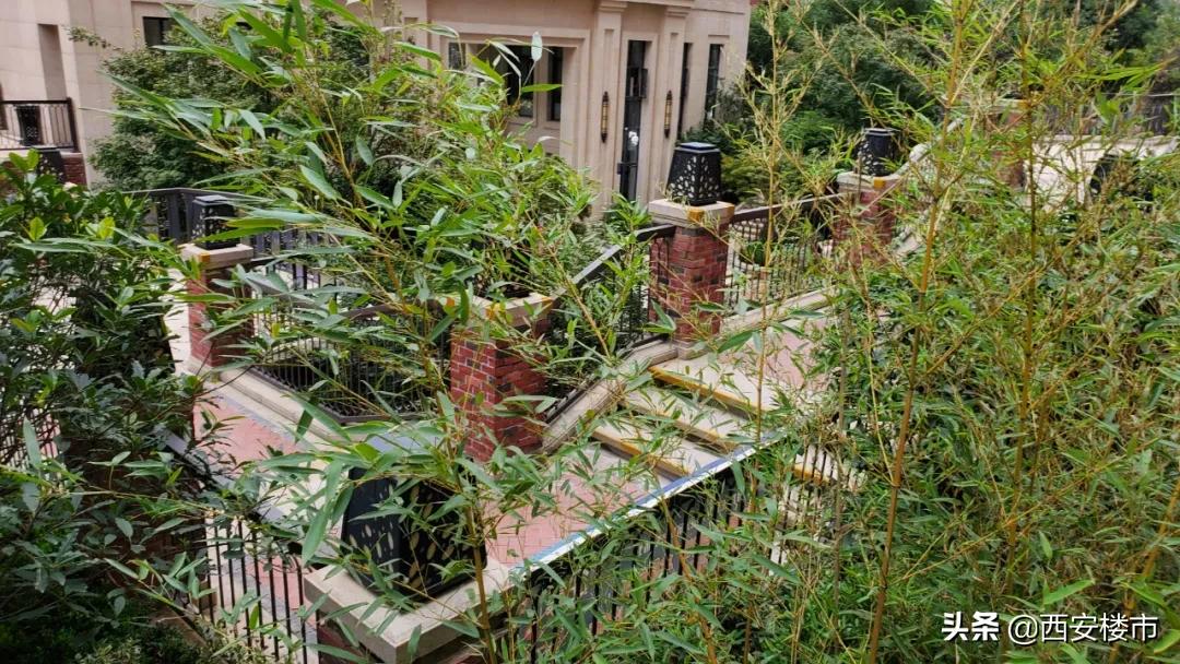 南湖艺境一期小区环境图片,南湖艺境一期详细地址