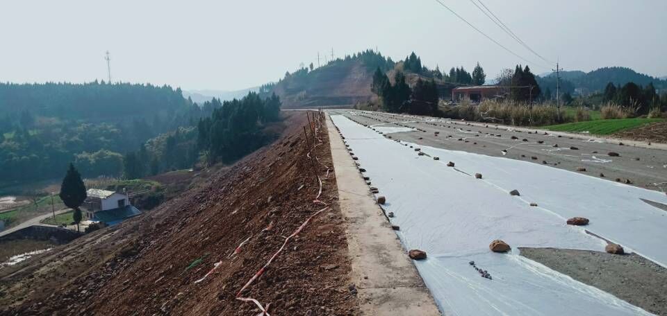 你关心的金宝到七宝寺公路来了！“过年”前能不能通车呢？