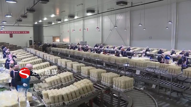 泗阳县好找工作吗,就近就业增收