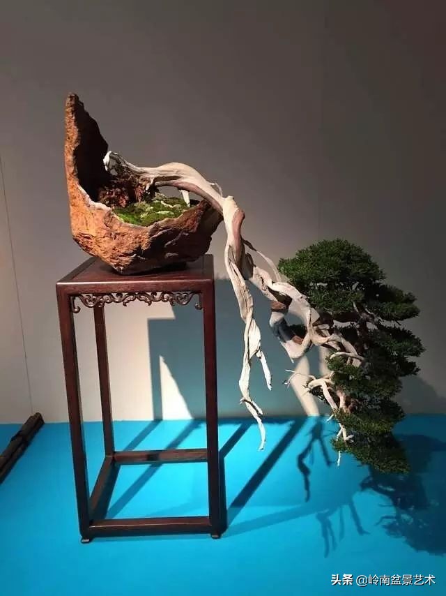 鎮礀缁濆閫㈢敓,鎮礀鐩嗘櫙澶у叏