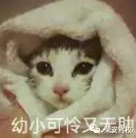 荣安学车,荣安驾校靠谱不