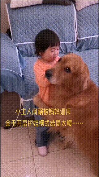 妈妈训孩子狗子护孩子,家长教育孩子对待宠物