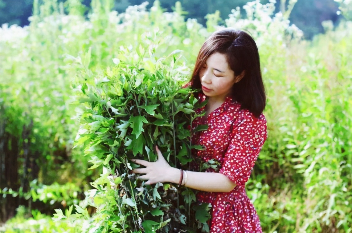 可以用艾叶天天洗头么,可以用艾叶长期洗头吗