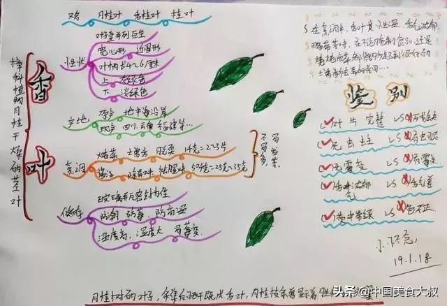 家常香料的配方,不知道香料配比怎么卤汤加香料