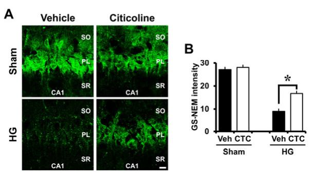 糖尿病病人发生低血糖时能吃糖吗,磷酸胞磷胆碱治疗糖尿病并发症