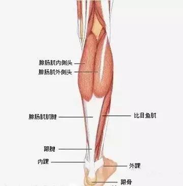 吸脂瘦小腿常见问题,怎么样瘦小腿最快