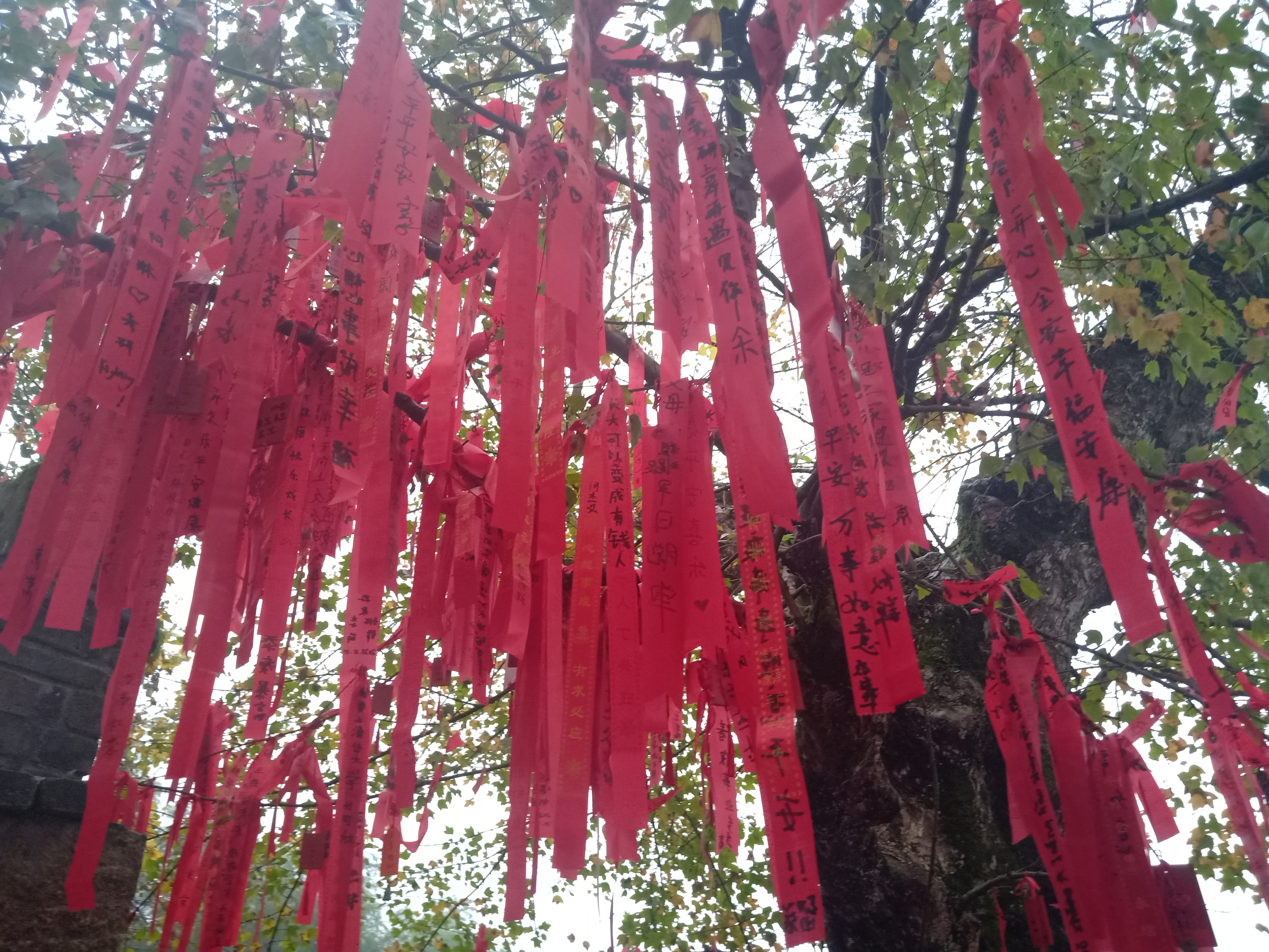 南昌梅岭溪谷秘境,南昌梅岭秘境