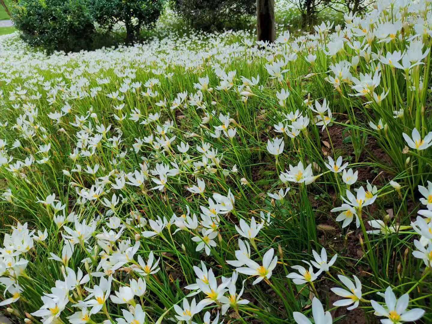 商品储存的名词解释,严格管理库存的描述