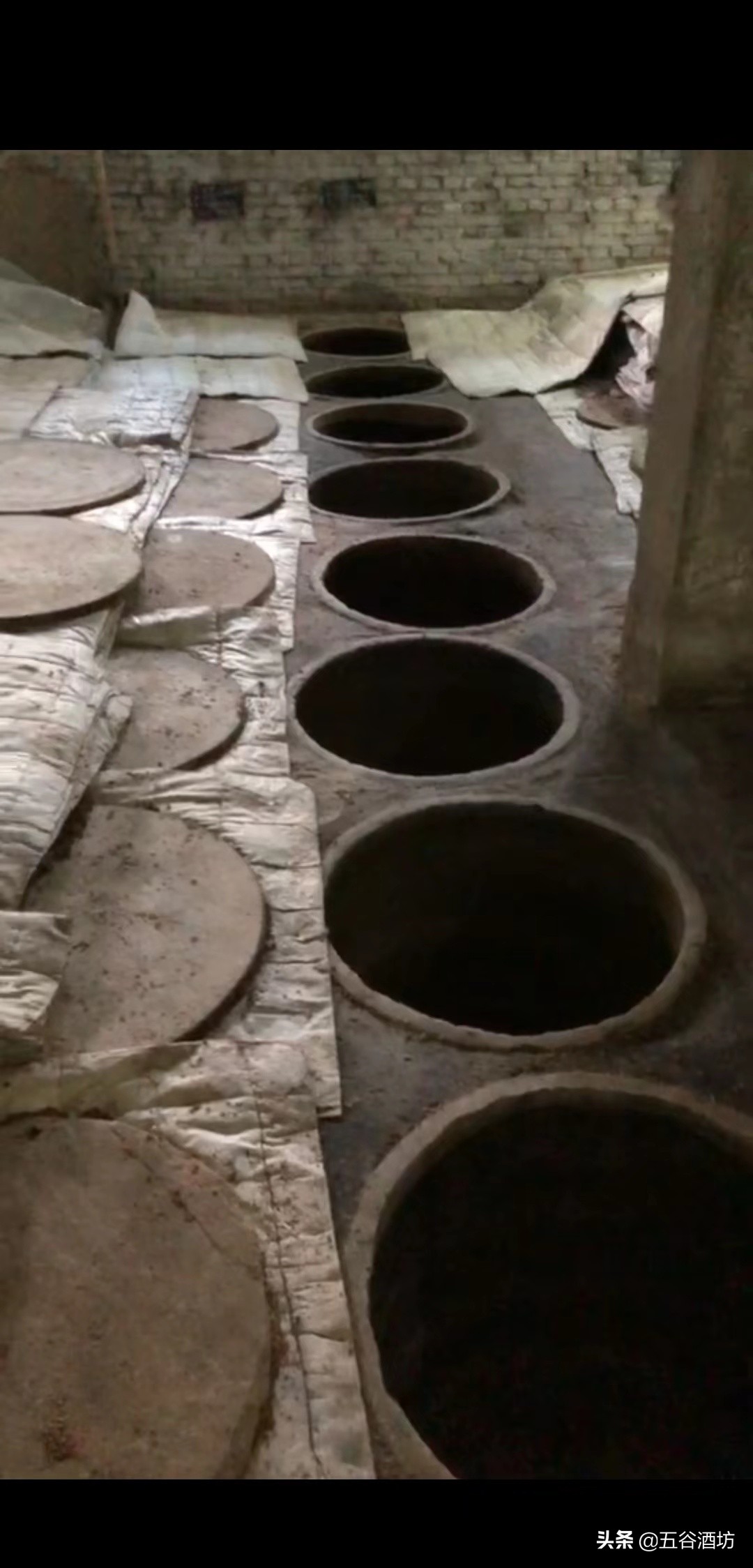 日常喝的5种白酒有哪些,关于白酒你应该知道这些事