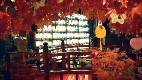 日式酒场大哥大出来营业了，凌晨3点还被小仙女围观