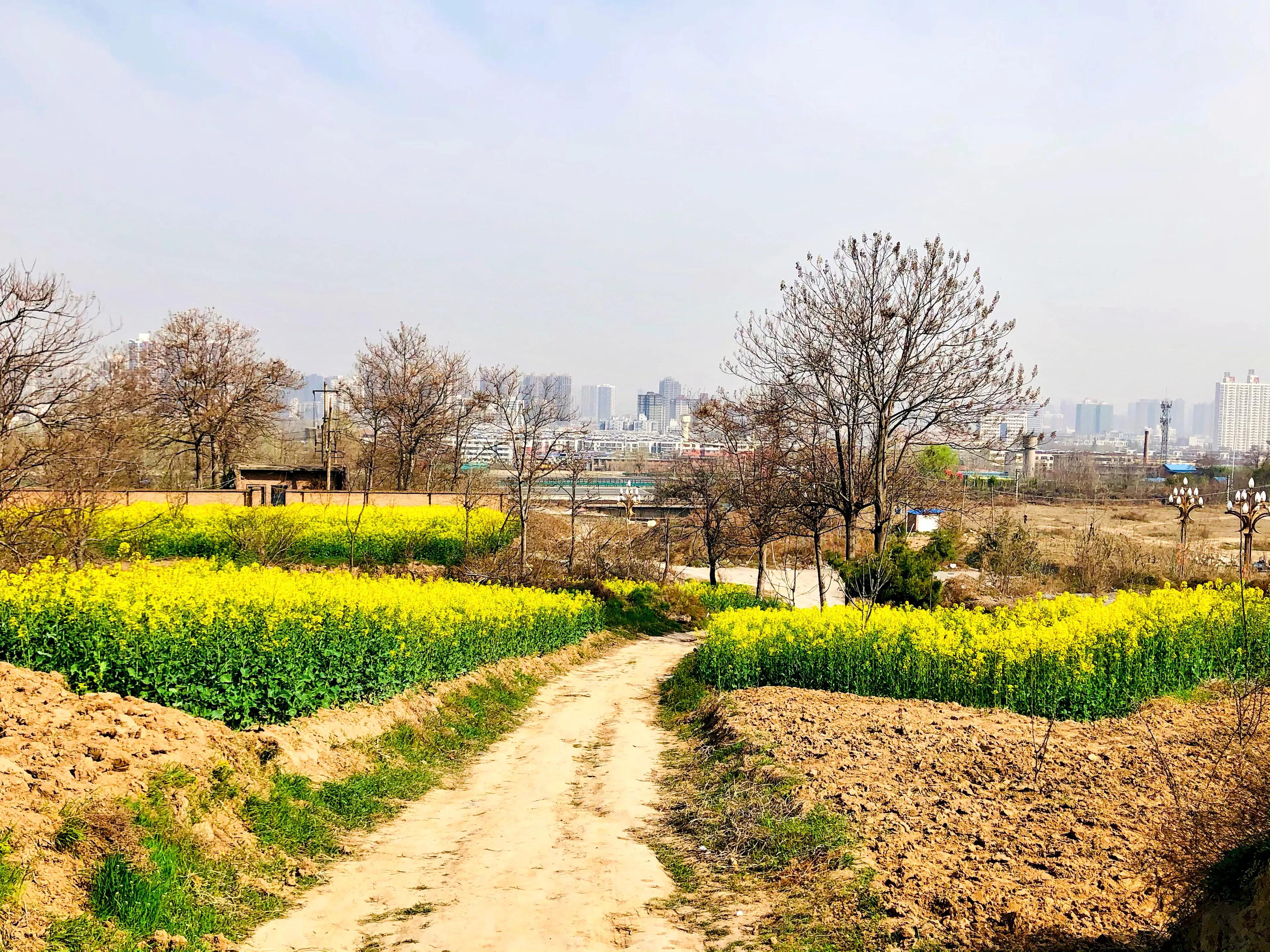 金塘半日游,白鹿原一日游攻略