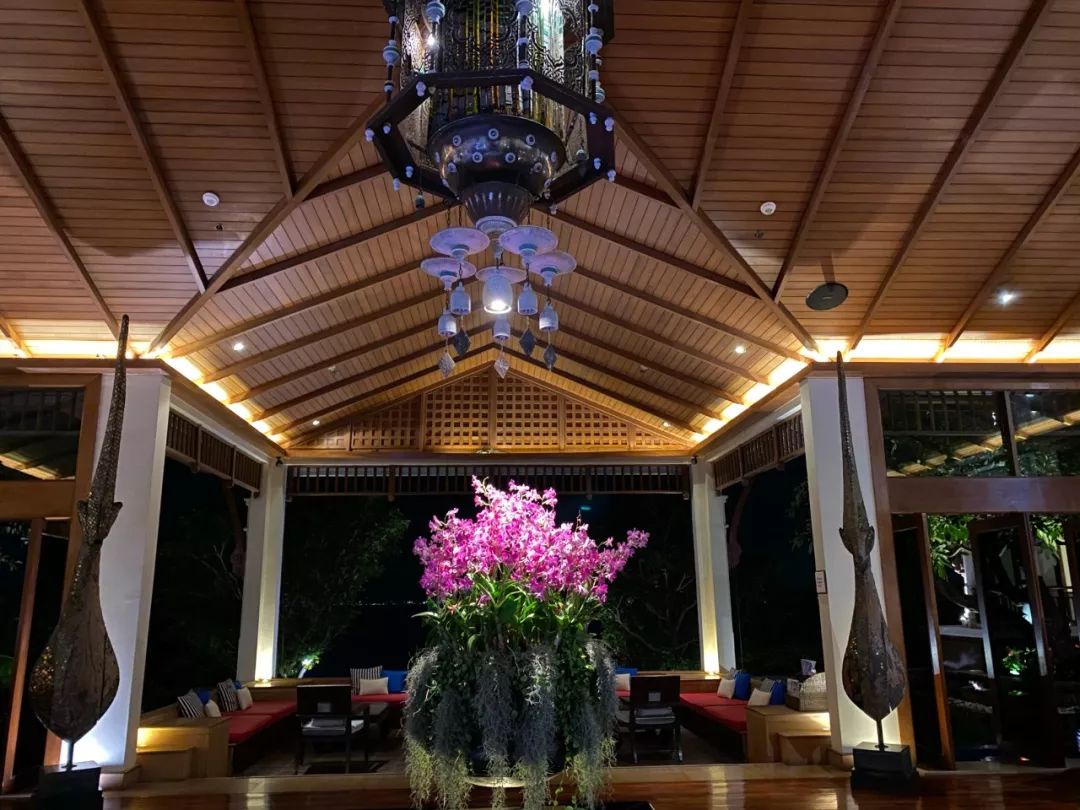 泰国自由行攻略详细版 (泰国自由行攻略最详细价格)