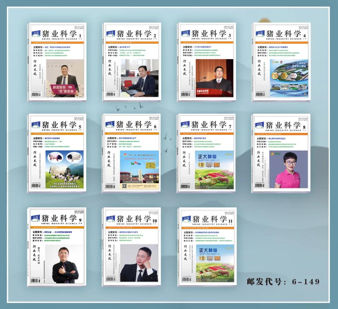 母猪乳房水肿症状怎么治疗,母猪产前乳房水肿最快的治疗方法