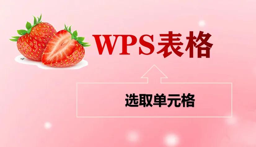 「wps表格」选取单元格2