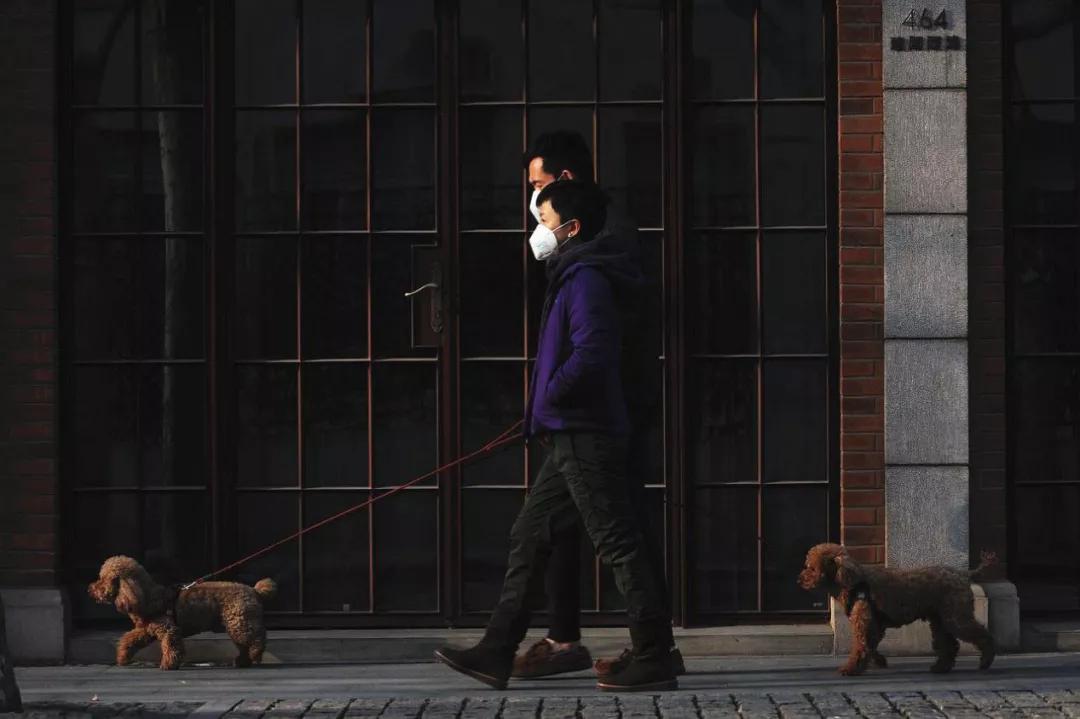 重症免疫缺陷是什么原因造成的,老年基础病感染新冠无症状