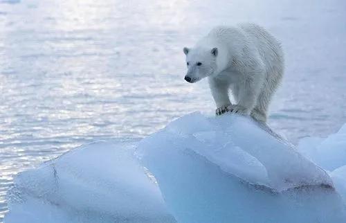 一位瓷砖加工厂老板的自述:今年活下来是头等大事