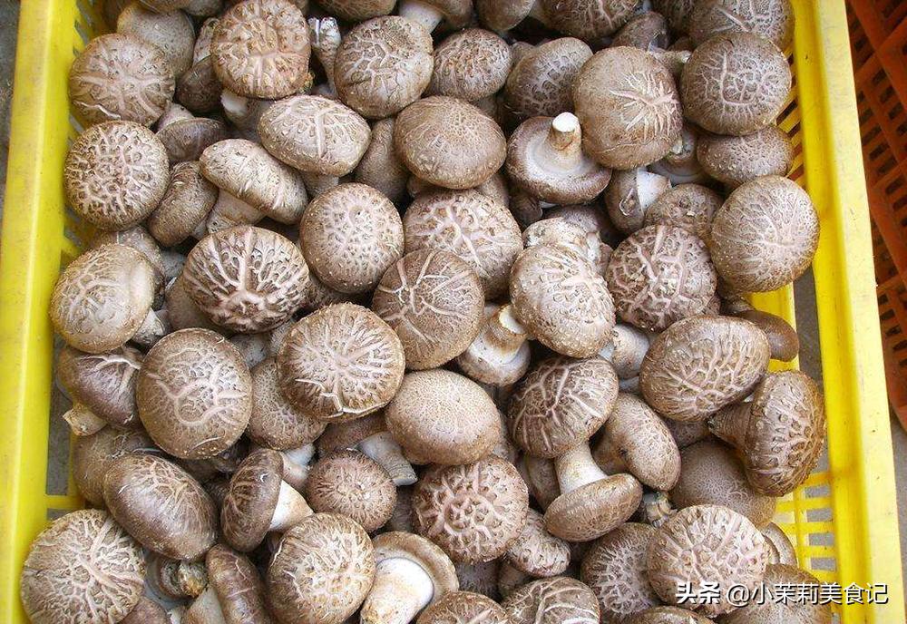 香菇怎样挑选才是最好的,香菇挑选平头的还是花头的好