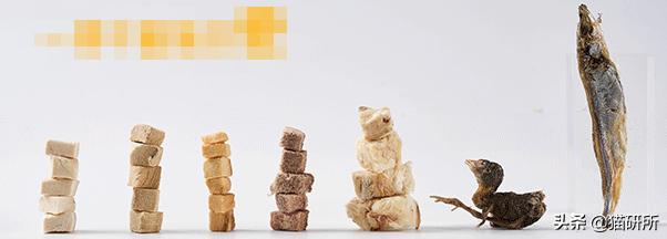 猫咪平替好物推荐,提高猫咪生活质量的几款好物