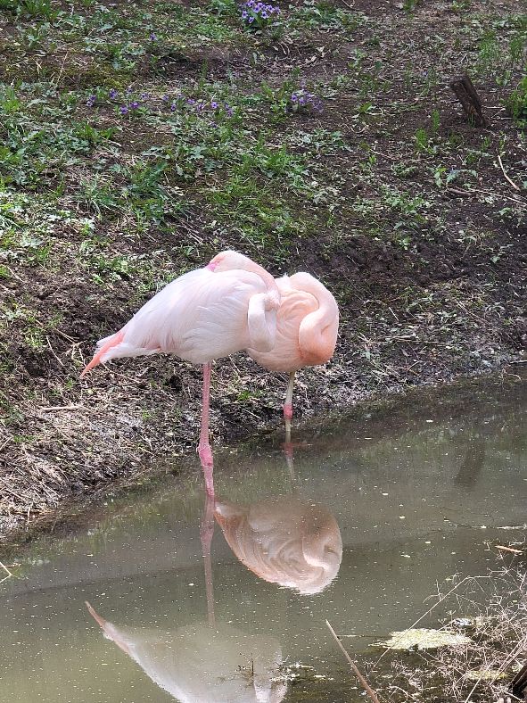 快乐动物园探险,愉快的旅行沈阳森林动物园一日游