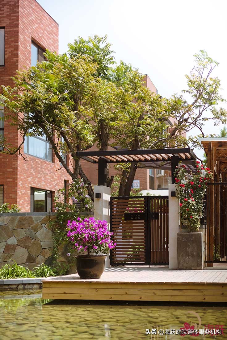 怎样建造自己的院子美观,庭院种植区该怎么设计