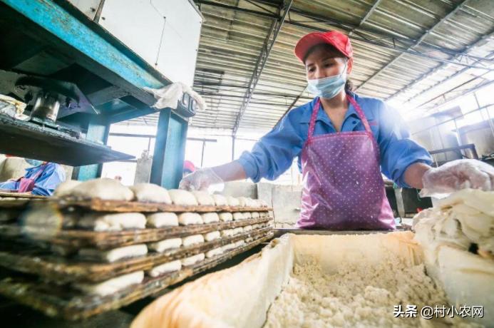 29个适合农村致富的小本创业项目,农村创业干什么致富最快