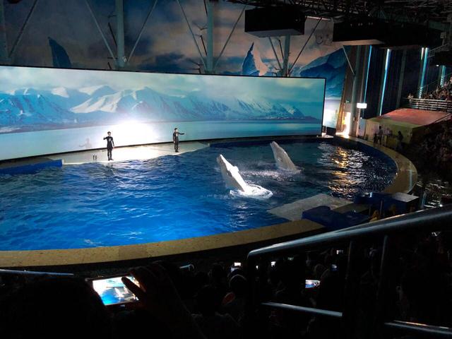 上海游玩必去的地方有哪些,上海值得玩的地方有哪些