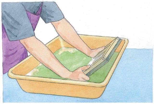 折断的植物可以自己愈合吗,折断的植物如何处理