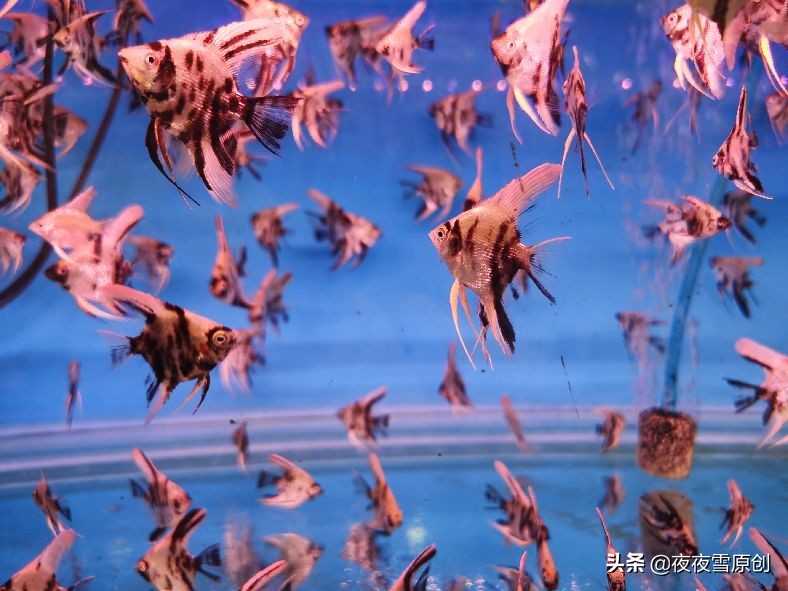 赚一分花三分后会怎么样,赚一分花两分的句子