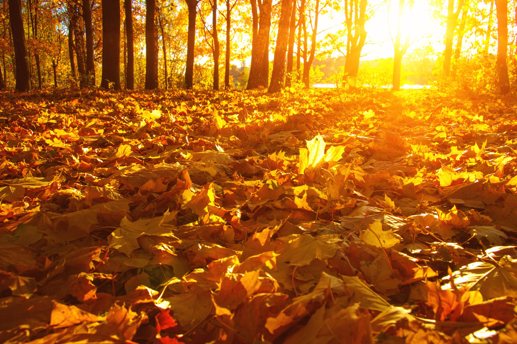 秋季皮肤痒用什么护肤,秋天皮肤瘙痒是什么原因如何防治