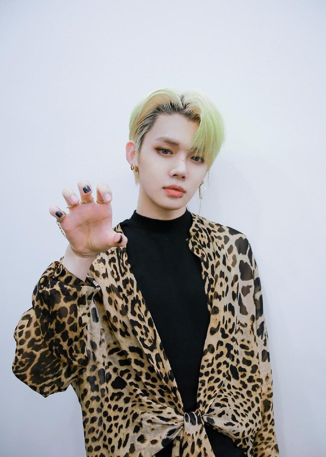 txt梦之章,txt梦之章主打曲