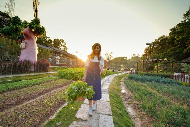 深圳民国风打卡景点,深圳安静的旅游小镇